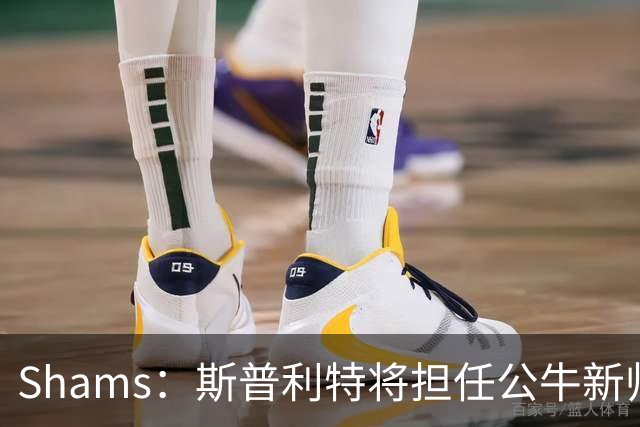 Shams：斯普利特将担任公牛新帅 上赛季率开拓者获西部第七
